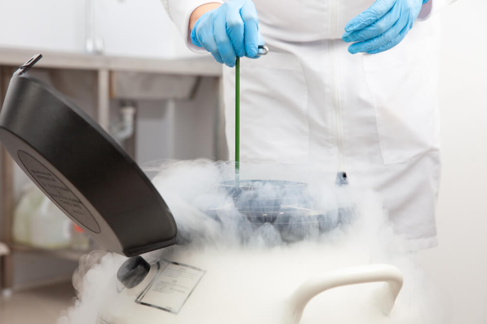 Manipulation d’un conteneur de cryoconservation avec azote liquide en laboratoire – technique utilisée pour la congélation et la conservation à long terme d’ovocytes, de spermatozoïdes ou d’embryons en AMP.