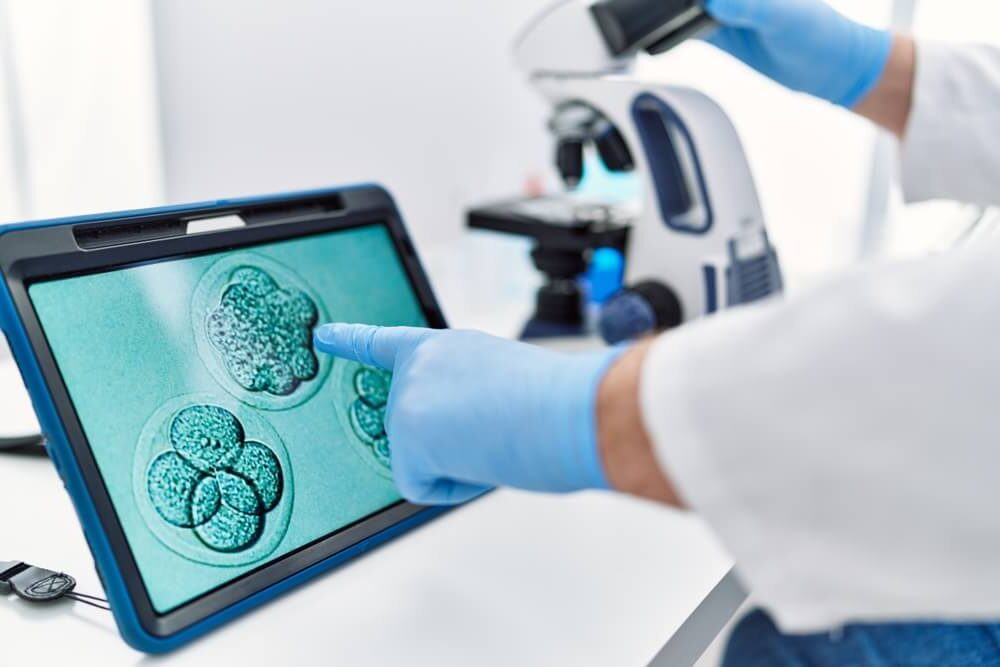 Scientifique analysant des embryons au microscope sur écran numérique – illustration des techniques d’Assistance Médicale à la Procréation comme la FIV et l’ICSI en laboratoire de biologie de la reproduction.